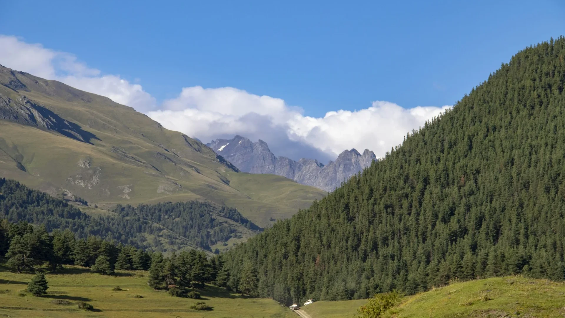 Family Guesthouses for a Stay in Tusheti