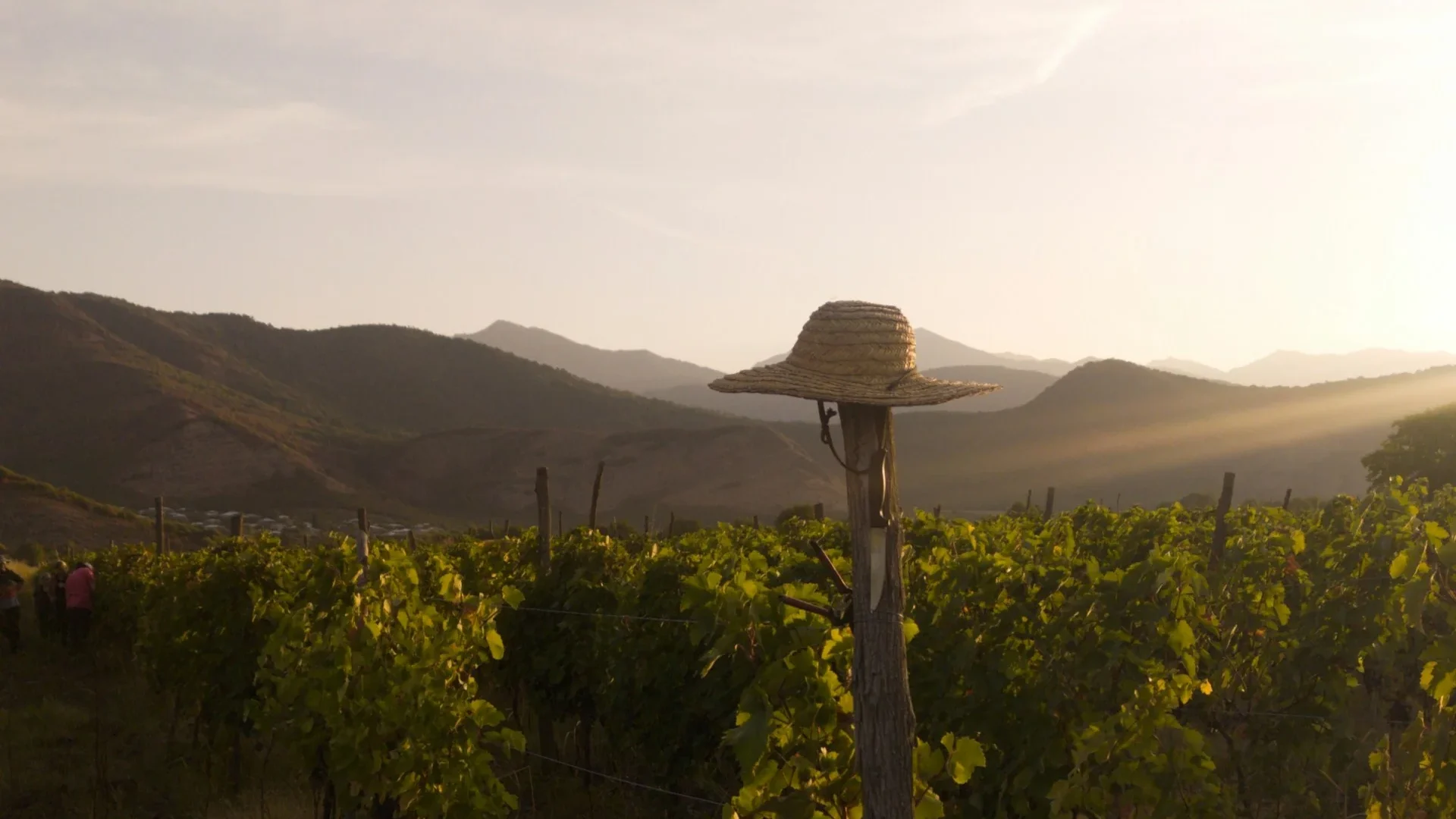 Restaurants and Wineries Worth Stopping at in Kakheti